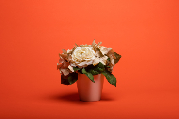 Preview: Hintergrundkarton 1,35 × 11 m Bright Orange (Mandarin)