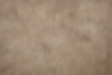 gefärbter Fotografen Hintergrund Baumwolle brown 2,6x3m (RMYR-055)