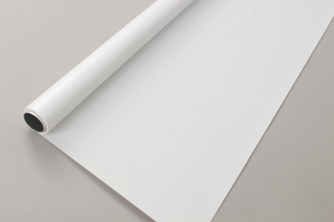 Preview: Full-Body-Shooting-mit-Vinylhintergrund-gross