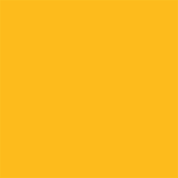 Preview: Superior Seamless Hintergrundkarton 2 x 11m, Forsythia Yellow