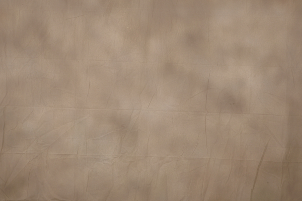 gefärbter Fotografen Hintergrund Baumwolle brown 2,6x3m (RMYR-055)