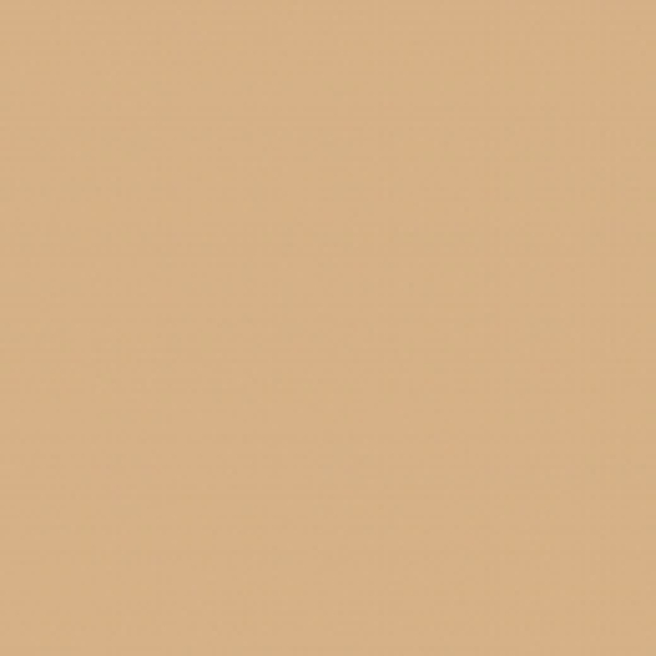 Fotostudio Hintergrundpapier beige matt Hama